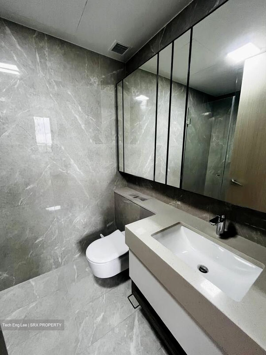 Dairy Farm Residences (D23), Apartment #453747871